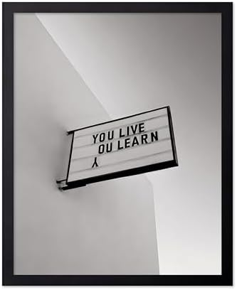 Poster Master You Live You Learn Poster by PosterMaster
