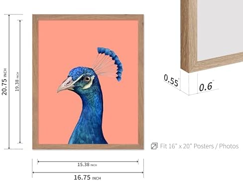 Poster Master Peacock Print - Image 3