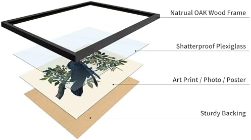 Poster Master Vintage John James Audubon Poster - Image 4