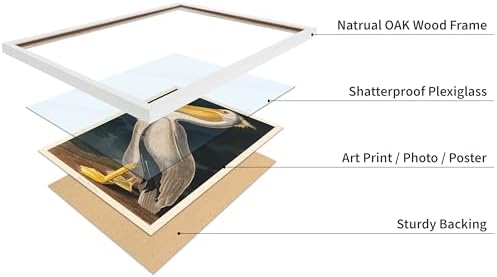 Poster Master Vintage John James Audubon Poster - Image 4