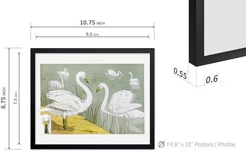 Poster Master Classic Animal Poster - Image 3