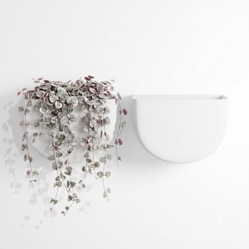 Asnext 2 Pack Indoor Wall Planter, 7 Inch Wall Planter Pot by Unknown