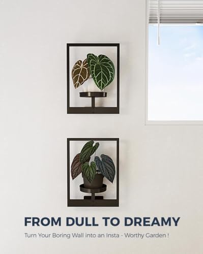 Bamworld Wall Plant Holder Plant Stand Indoor Wall Planters Black - Image 5