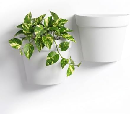 Asnext 2 Pack Indoor Wall Planter, 7.5 Inch Wall Planter Pot by Unknown