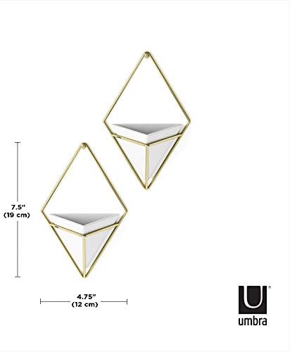Umbra Trigg Hanging Planter for Small Plants - Image 3