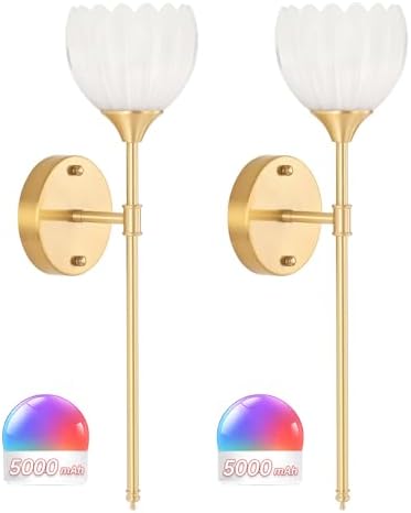 Shenmoyl Battery Operated Wall Sconce Set of 2 by Shenmoyl