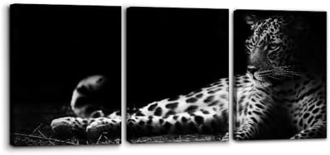 Pacimo Animals Wall Art Set of 3 by Pacimo