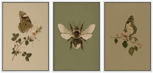 MUDECOR Framed Canvas Print Wall Art Set Butterfly Bee Set by MUDECOR