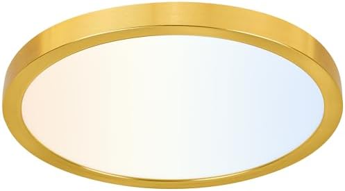 hykolity 12 Inch Selectable CCT LED Round Flat Panel Light by hykolity