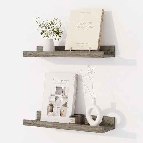 Dreamland Picture Ledge Shelf for Wall, Floating Shelves Set of 2, 16 inch Long by Dreamland