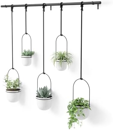 Umbra Triflora Hanging Planter, Window Herb Garden by Umbra