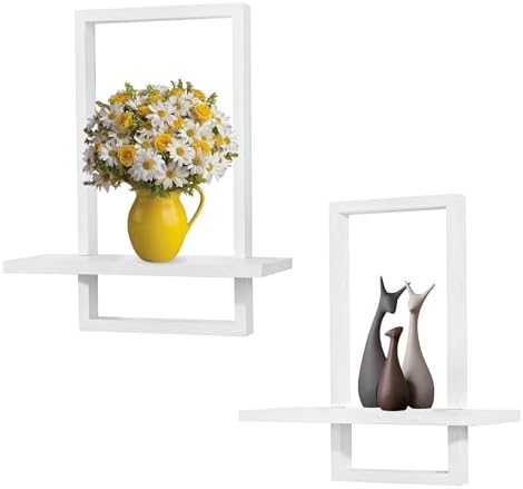 Floating Shelves for Wall, Decorative Wall Shelves, Plants Shelf Framed by PHOENANCEE