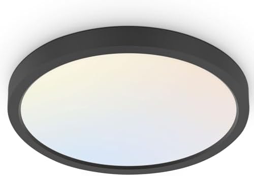 hykolity 18 Inch LED Round Flat Panel Light by hykolity