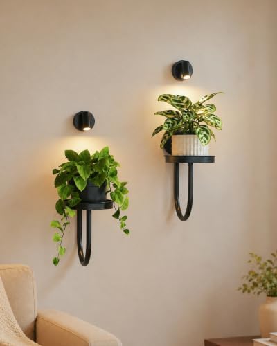 GENTINGBRO Plant Stands Wall Plant Holder by Gentingbro