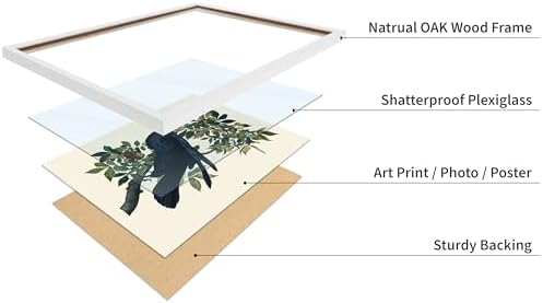 Poster Master Vintage John James Audubon Poster - Image 4