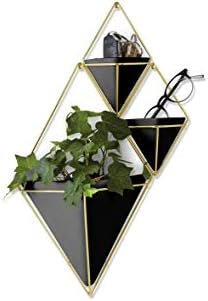 Umbra Trigg Hanging Planter for Small Plants - Image 4