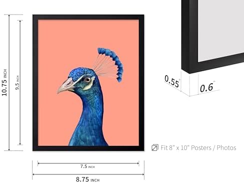 Poster Master Peacock Print - Image 3