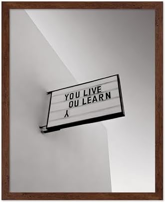 Poster Master You Live You Learn Poster by PosterMaster