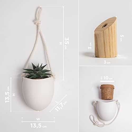 Kazai.® | Porcelain Wall Vases | 3 Piece Set | Including Wooden Hooks | Matte - Image 4