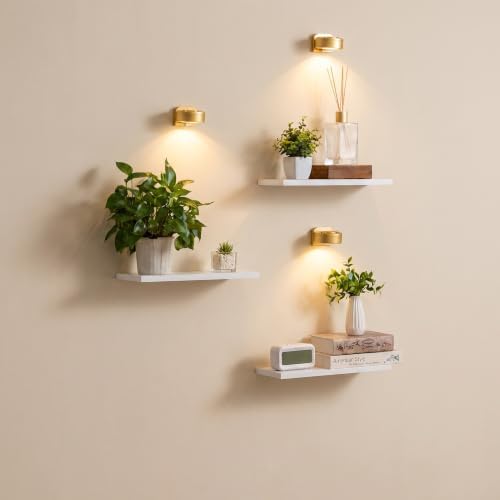 Floating Shelves with Lights for Wall Decor, Wall Plant Shelf by Orvado