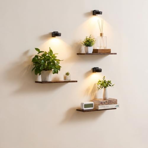 Floating Shelves with Lights for Wall Decor, Wall Plant Shelf by Orvado