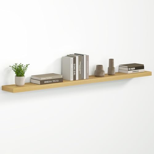 Fun Memories 66 Inch Floating Shelves by FunMemories