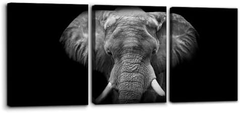 Pacimo 3 Pieces Wall Art for Living Room Elephant Canvas Wall Decor for Bedroom by Pacimo