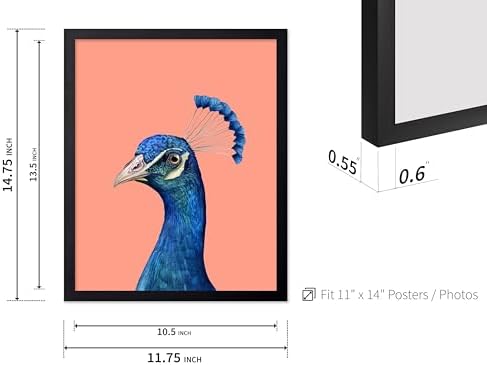 Poster Master Peacock Print - Image 3
