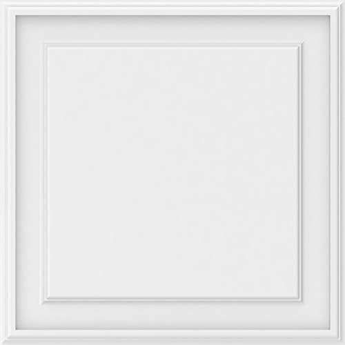 22" W x 22" H x 5/8" P Legacy Raised Panel Decorative Wall Panel - Image 2