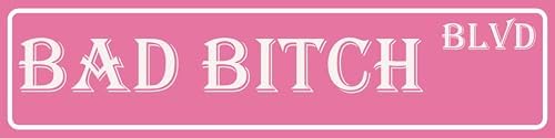 Pink Room Decor Bad Bitch Blvd Metal Tin Sign Funny Bitch Blvd Sign Street Signs by Unknown