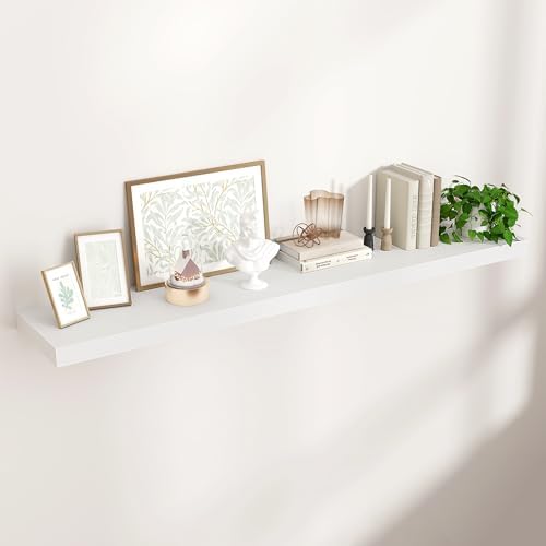55" Wide x 10" Deep Floating Shelves by Venusmiles