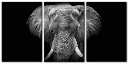 Pacimo 3 Pieces Wall Art for Living Room Elephant Canvas Wall Decor for Bedroom by Pacimo