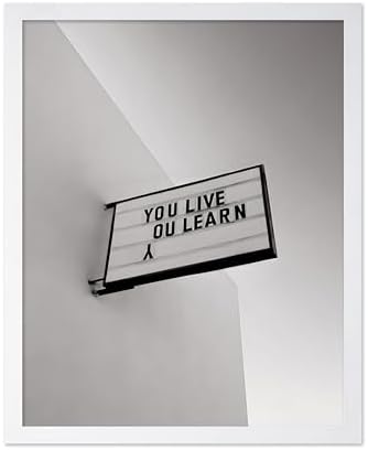 Poster Master You Live You Learn Poster by PosterMaster
