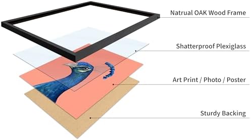 Poster Master Peacock Print - Image 4