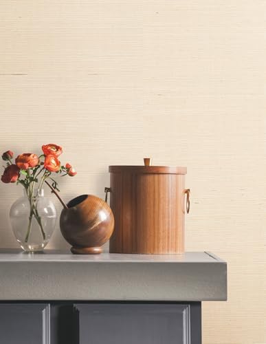 York Wallcoverings Natural Sisal Plaster Peel and Stick Wallpaper - Image 2