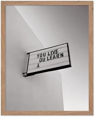 Poster Master You Live You Learn Poster by PosterMaster