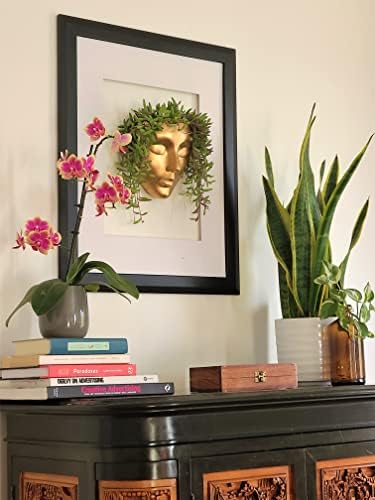 Face Wall Planter | 7 Colors Available | Unique Head Planter - Image 2