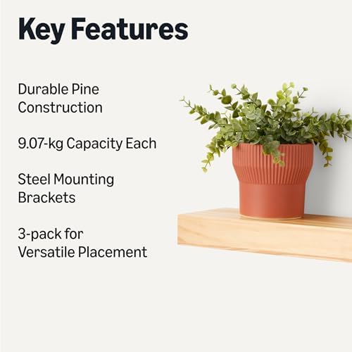 Amazon Basics Wood Floating Wall Shelves, 15.8" x 5" x 1.8", Natural Wood Finish - Image 3