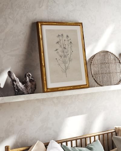 InSimSea Gold Bamboo Framed Wall Art, Chamomile Botanical Prints - Image 4