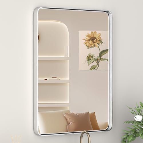 16" x 20" Brushed Nickel Bathroom Mirrors by YYXW
