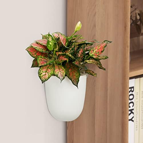 ORIMERC 2 Pack Corner Wall Mounted Hanging Planter Self Watering Triangle by OrimercGarden