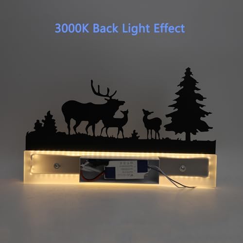 Wall Sconce lamp, LED Wall Mounted Light Indoor Wall Light - Image 5