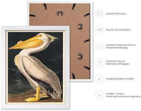 Poster Master Vintage John James Audubon Poster - Image 2