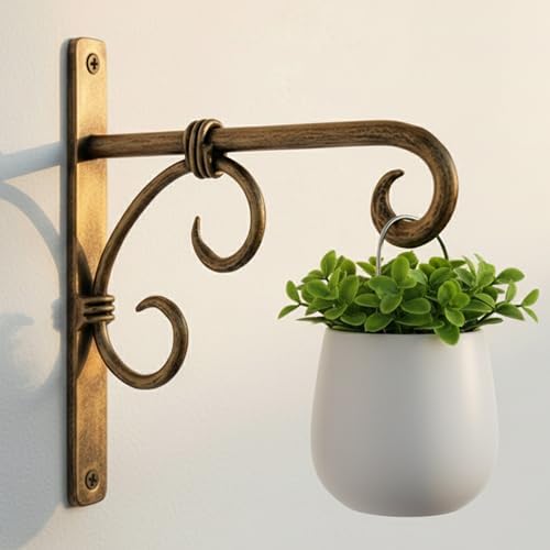 Serenz, Antique Golden Wall Bracket | Iron Plant Hanger by Serenz