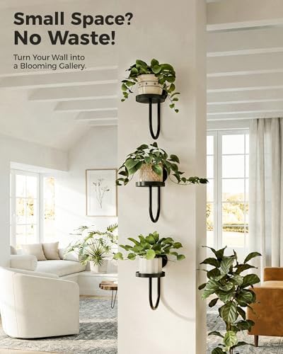 Bamworld Wall Plant Holder for Hanging Planters - Image 5