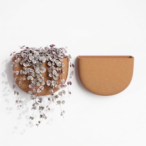 Asnext 2 Pack Indoor Wall Planter, 7 Inch Wall Planter Pot, Terracotta by Unknown