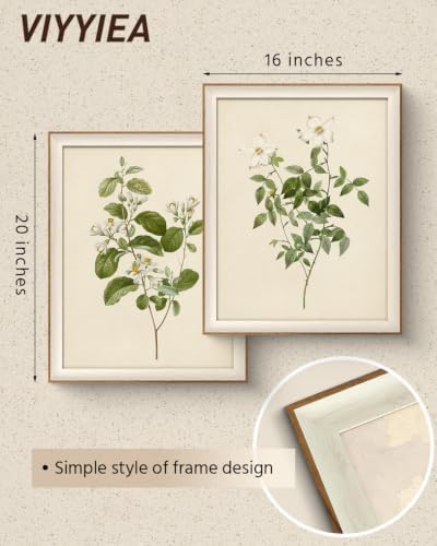 VIYYIEA Framed Botanical Flower Wall Art Set - Image 5