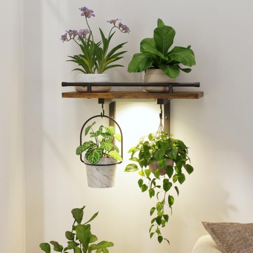 LASZOLA Wall Plant Shelves Floating Hanger Holder by LASZOLA