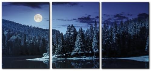 Pacimo Lake and Pine Forest Bedroom Wall Art Natural Landscape Canvas Wall Art by Pacimo