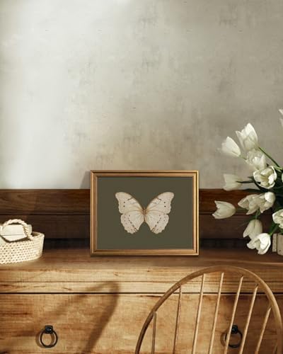 KBKBART Vintage Butterfly Wall Art Gold Framed Canvas Print 8x10 inch - Image 5